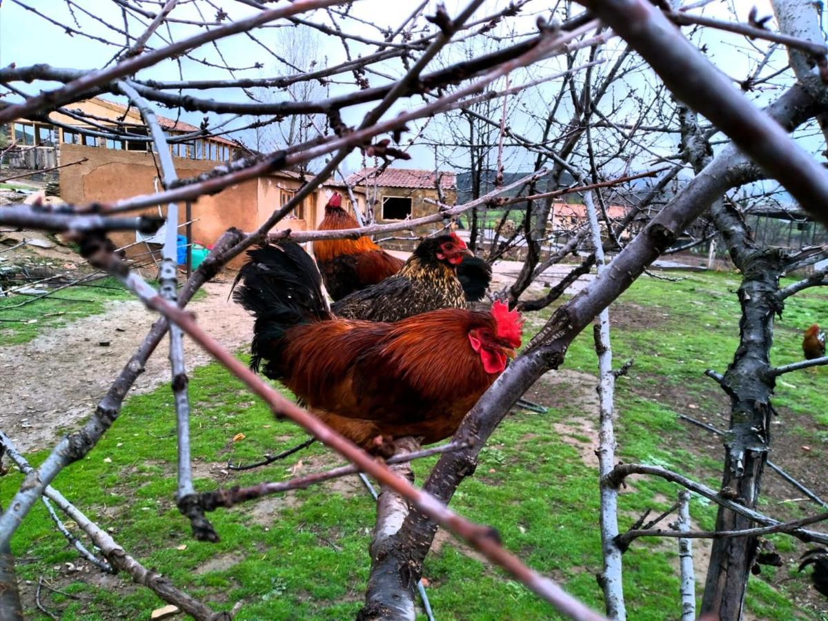Ferme D’hôte La Vallée Azrou Extérieur photo